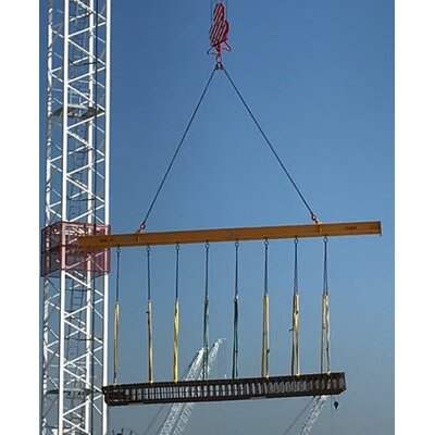 Multipoint Lifting Beam