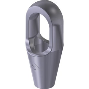 Closed Spelter Socket