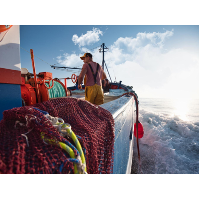 Bib and Braces with Fly