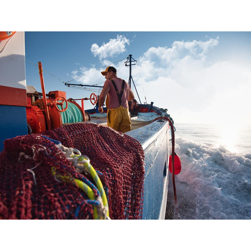 Bib and Braces with Fly