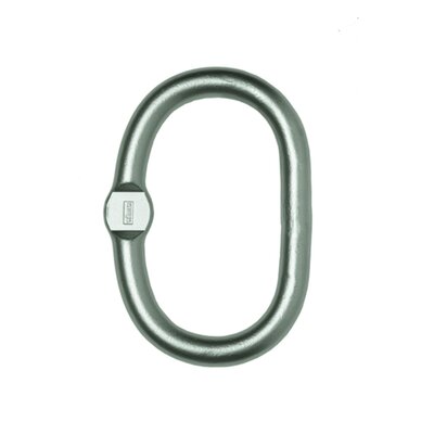 Master Link CAGF/CBGF, 1- and 2-leg Stainless