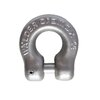 Clevis Shackle cromox® CGS Stainless