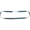 Anchorage Round Sling FA6000506