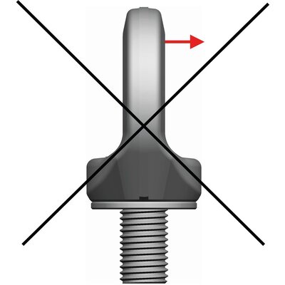 Stainless Lifting Eye Pewag PLGWI