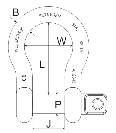 Shackle_316bow_dwg