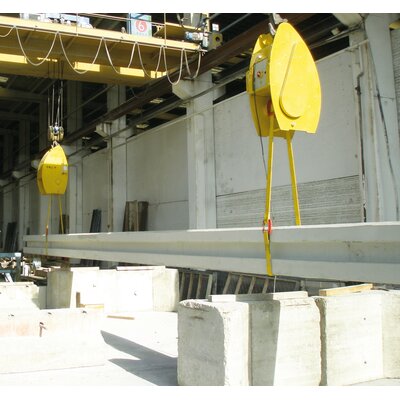 Use of the PalTurn™