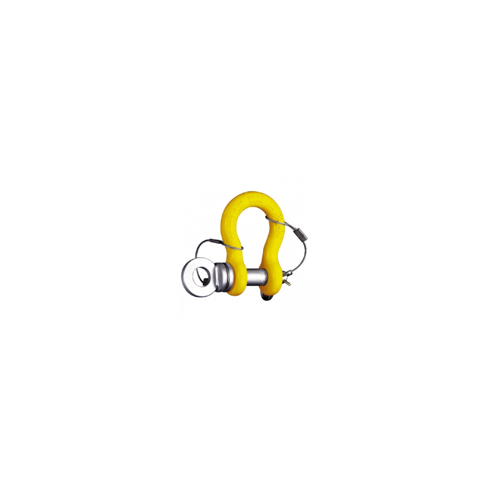 ROV Anchor Shackle with Safety Pin